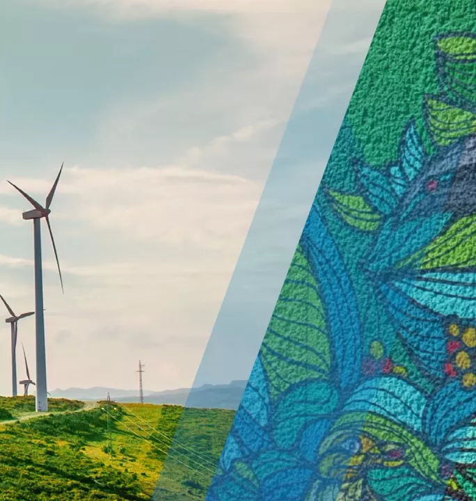 Photo collage of windmills and graffiti art.