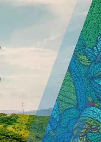 Photo collage of windmills and graffiti art.