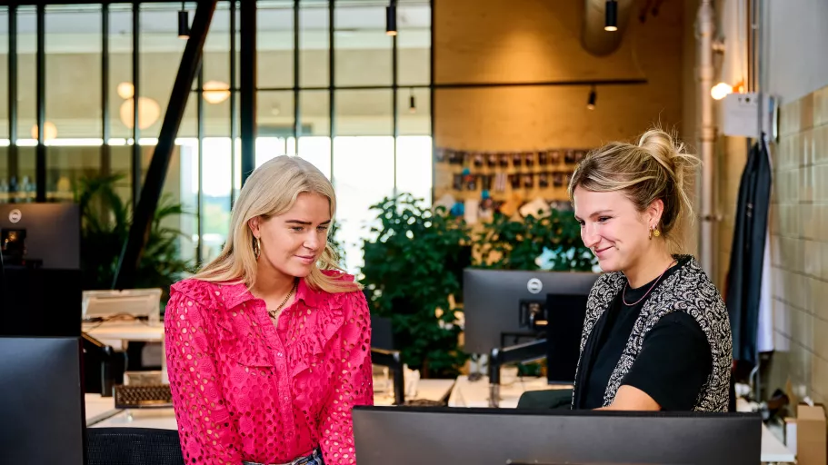 Two women collaborating at the Springbok Dutch office. One, in a pink blouse, listens attentively, while the other, in a patterned vest, smiles as she speaks. Bright, dynamic atmosphere.